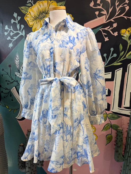Blue Bloom Dress