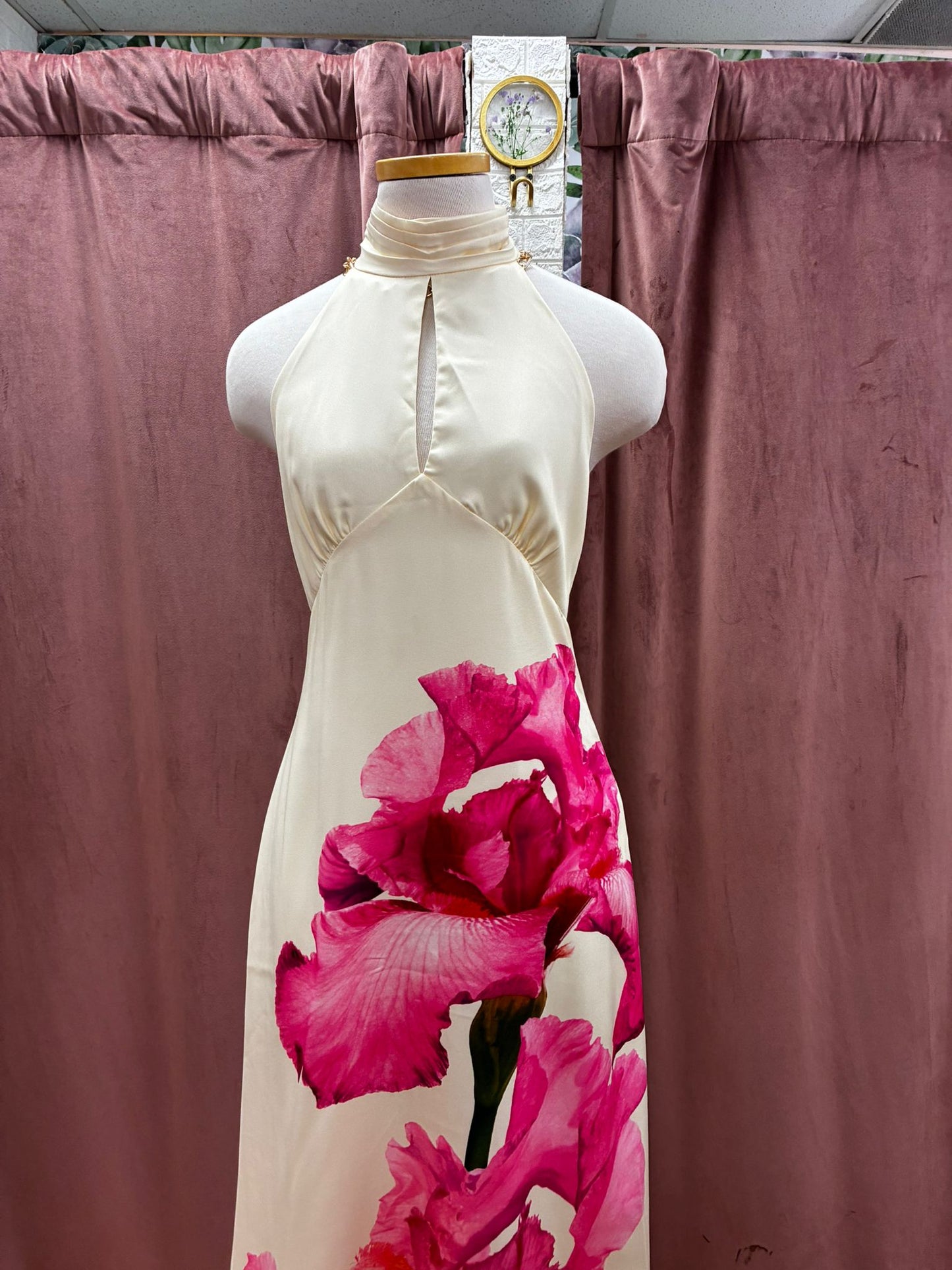 Orchid Whisper