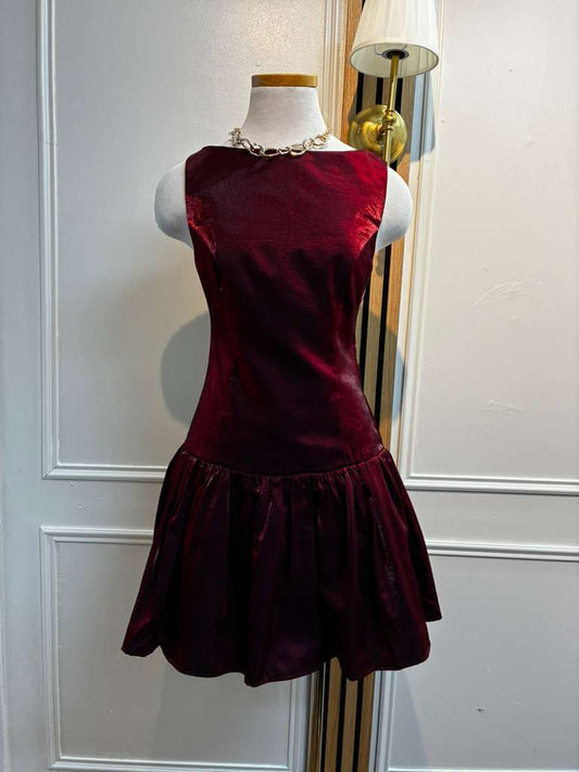 The Velvet Rose Dress
