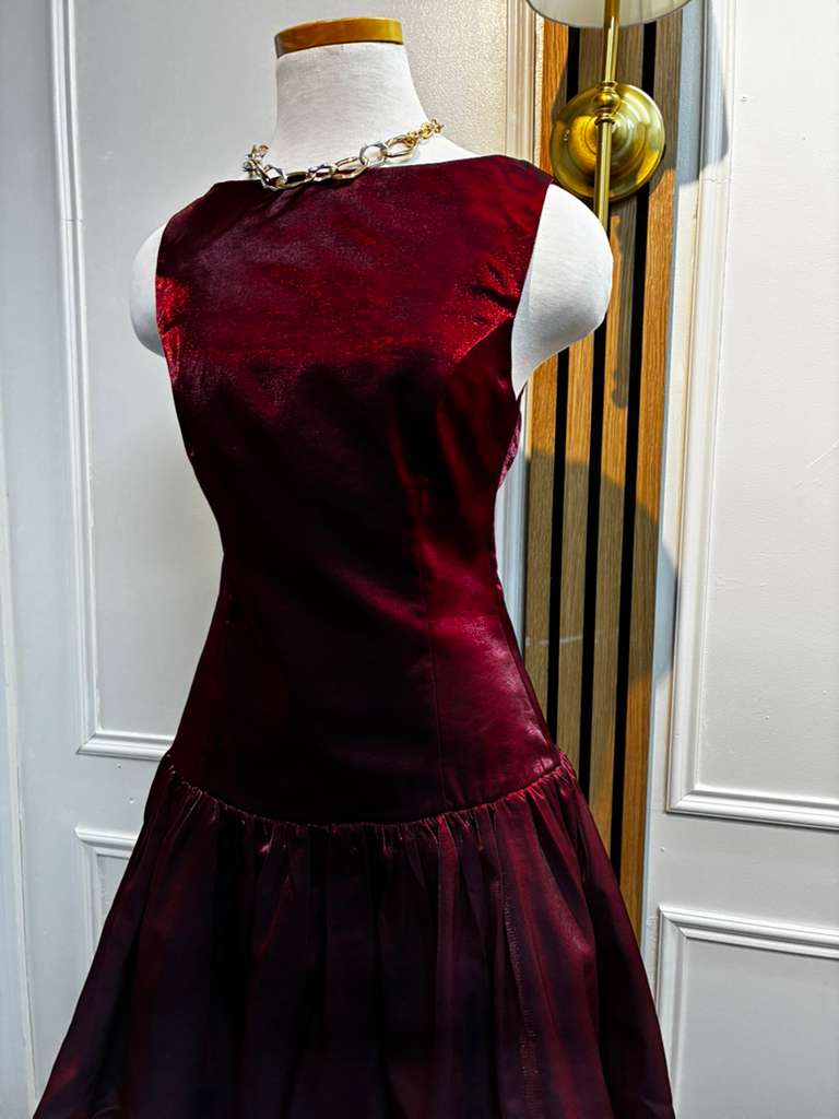 The Velvet Rose Dress