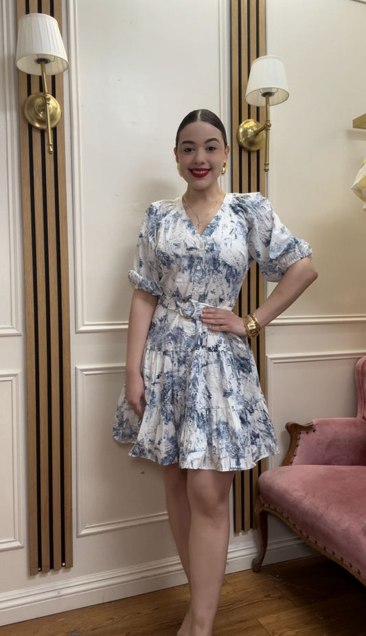 The French Garden Story Dress